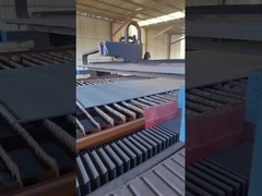 Precise Cutting Gantry Laser Cutting Machine met Cypcut Software en HIWIN Guiderail